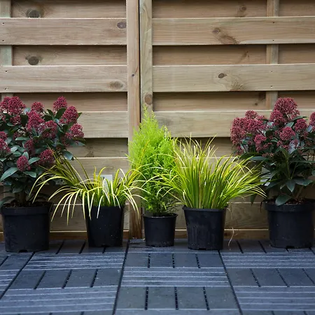 فندق The Bedford Townhouse 4*