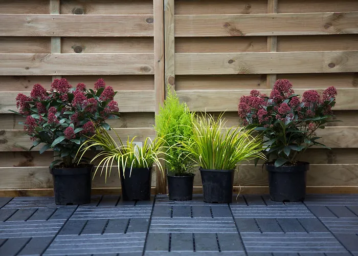 酒店 The Bedford Townhouse 4*