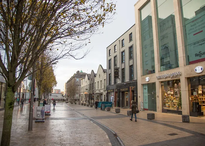 酒店 The Bedford Townhouse Limerick Junction